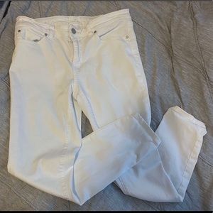 Caslon Stretch Ankle Skinny Jeans